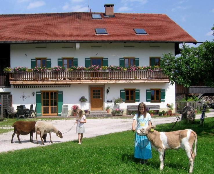 Zaissererhof ブラネンブルグ エクステリア 写真